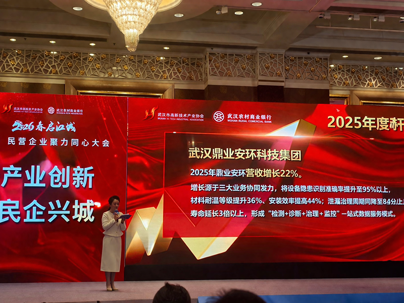喜報(bào)！鼎業(yè)集團(tuán)獲評(píng)「2025年度武漢民營(yíng)企業(yè)增長(zhǎng)樣本」